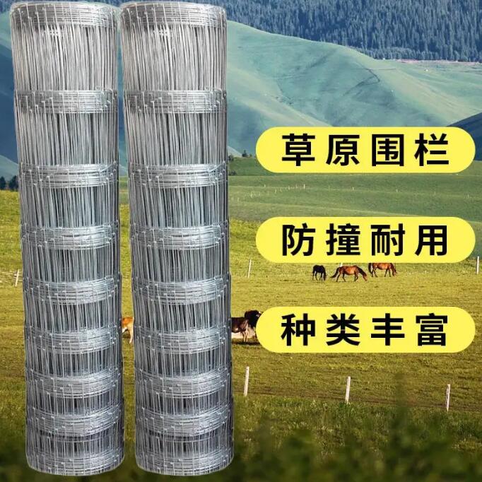 牛栏网